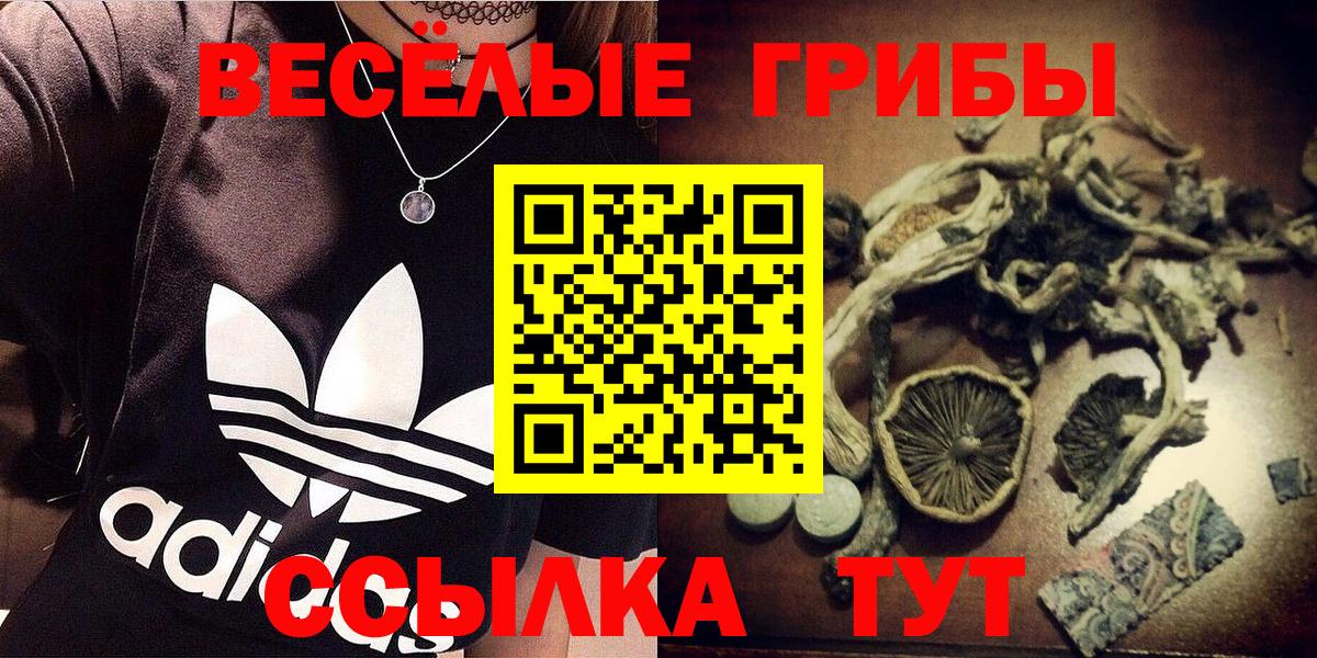 даркнет сайт  Вход с VPN  Галлюциногенные грибы Psilocybe  Междуреченск  Псилоцибиновые грибы мухоморы 