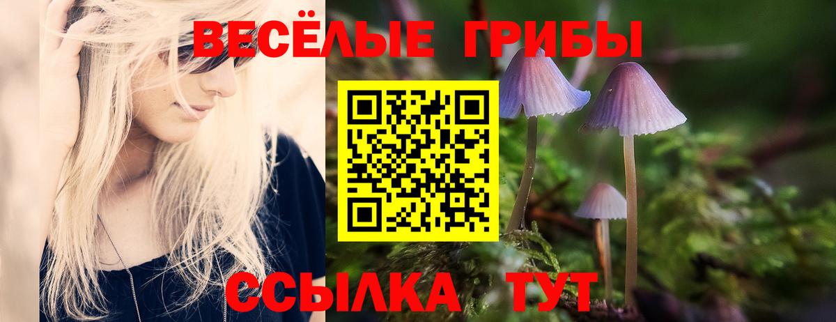 Галлюциногенные грибы мицелий Междуреченск
